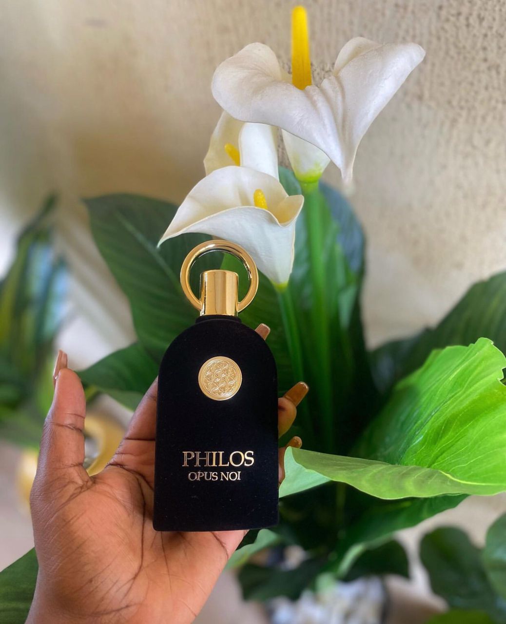 DECANT U - PHILOS Opus Noir