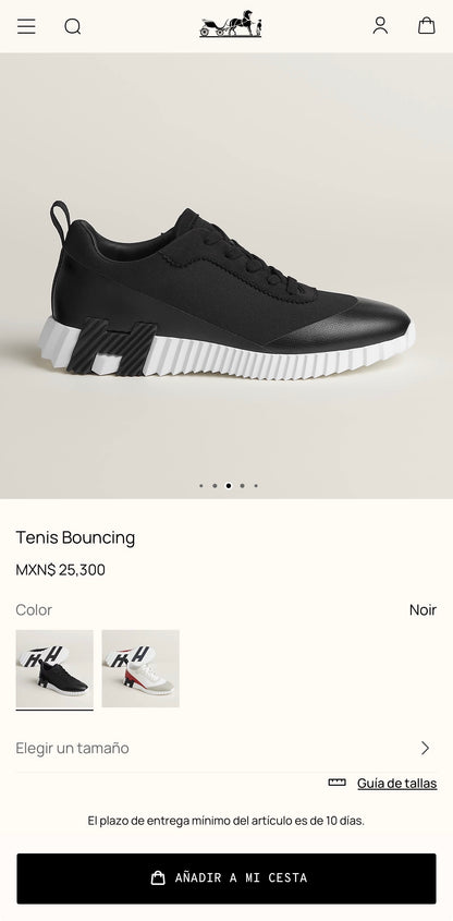 HERMES Bouncing sneaker (VARIOS)