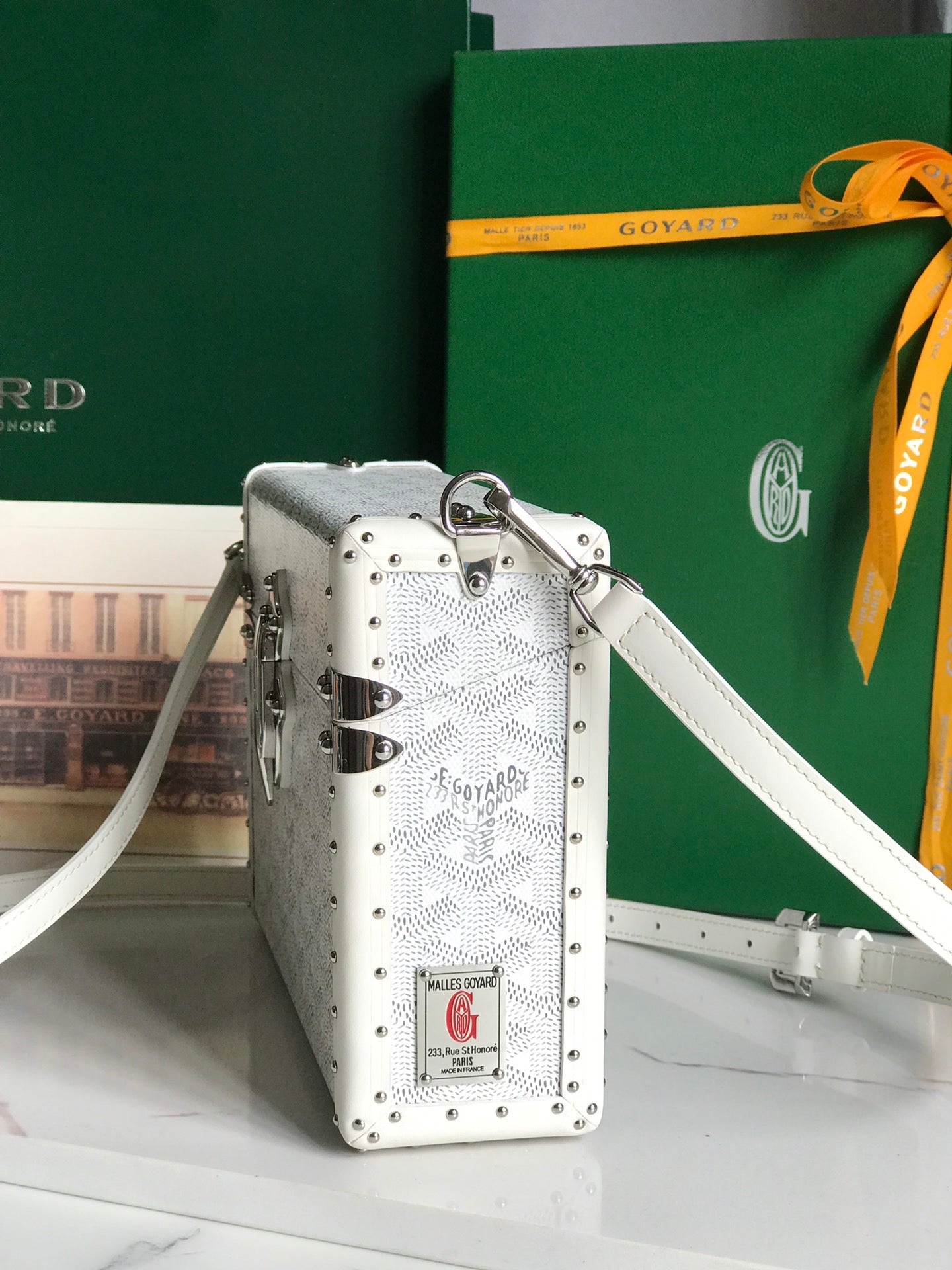 GOYARD Cassette Trunk Bag