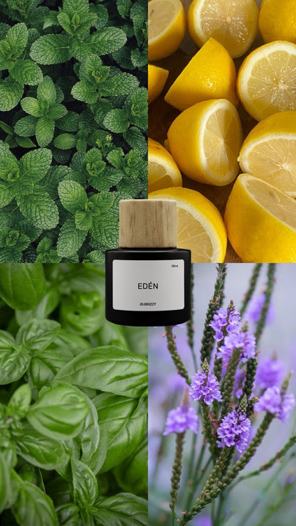 EDÉN Parfum - Huele a TORINO 21 de Xerjoff