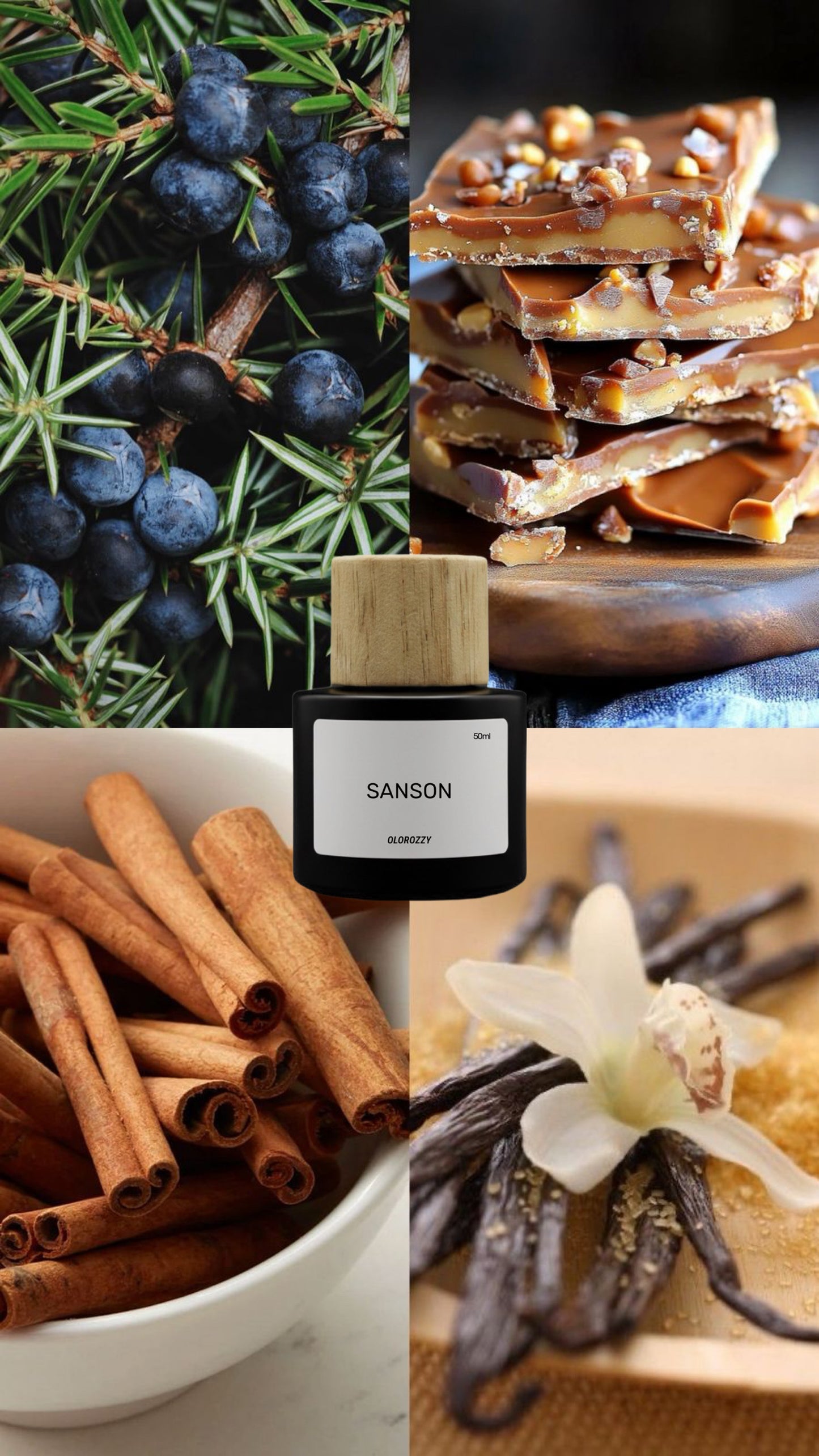 SANSON - Inspirado en Stronger with you