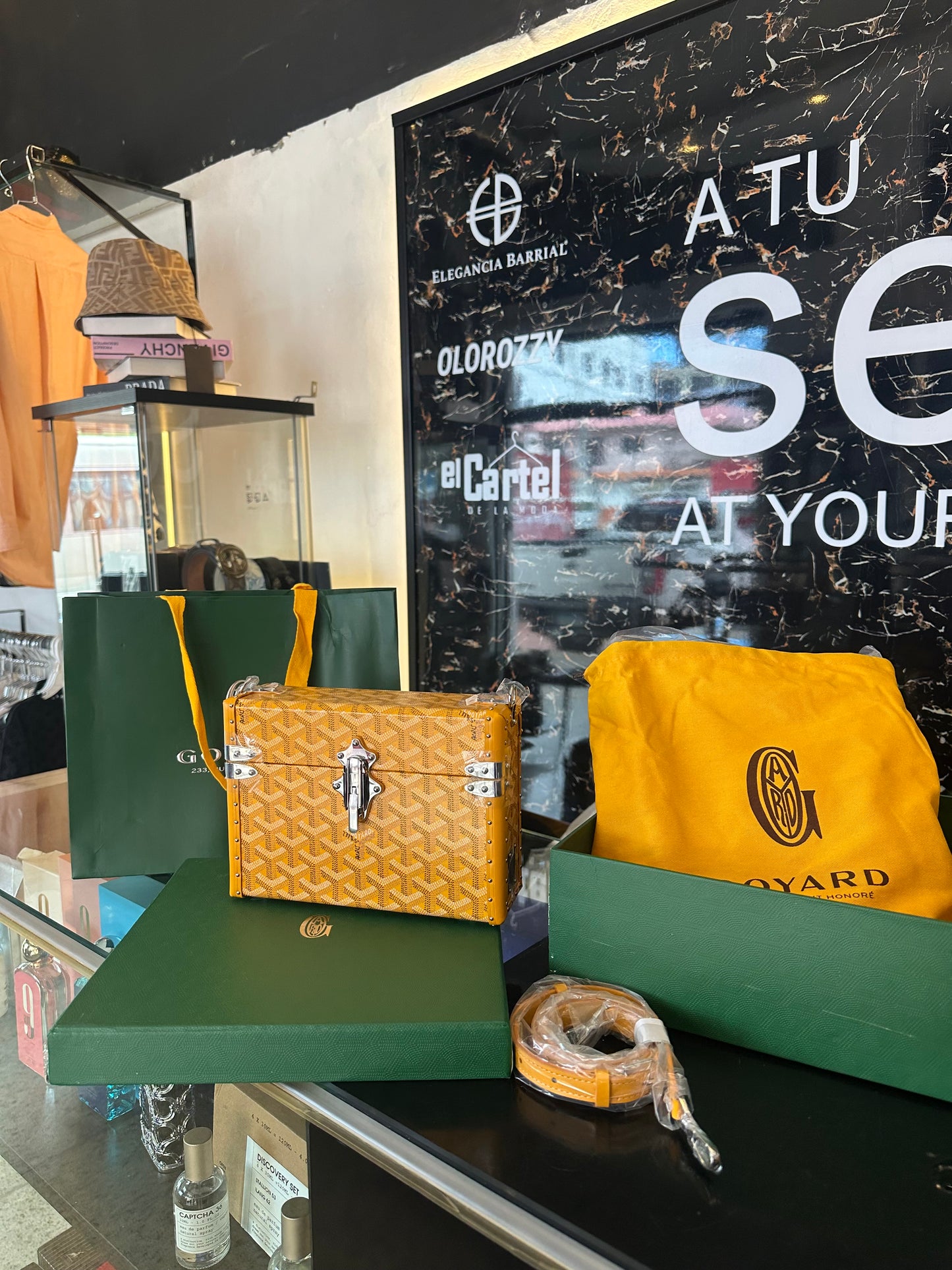 GOYARD Cassette Trunk Bag