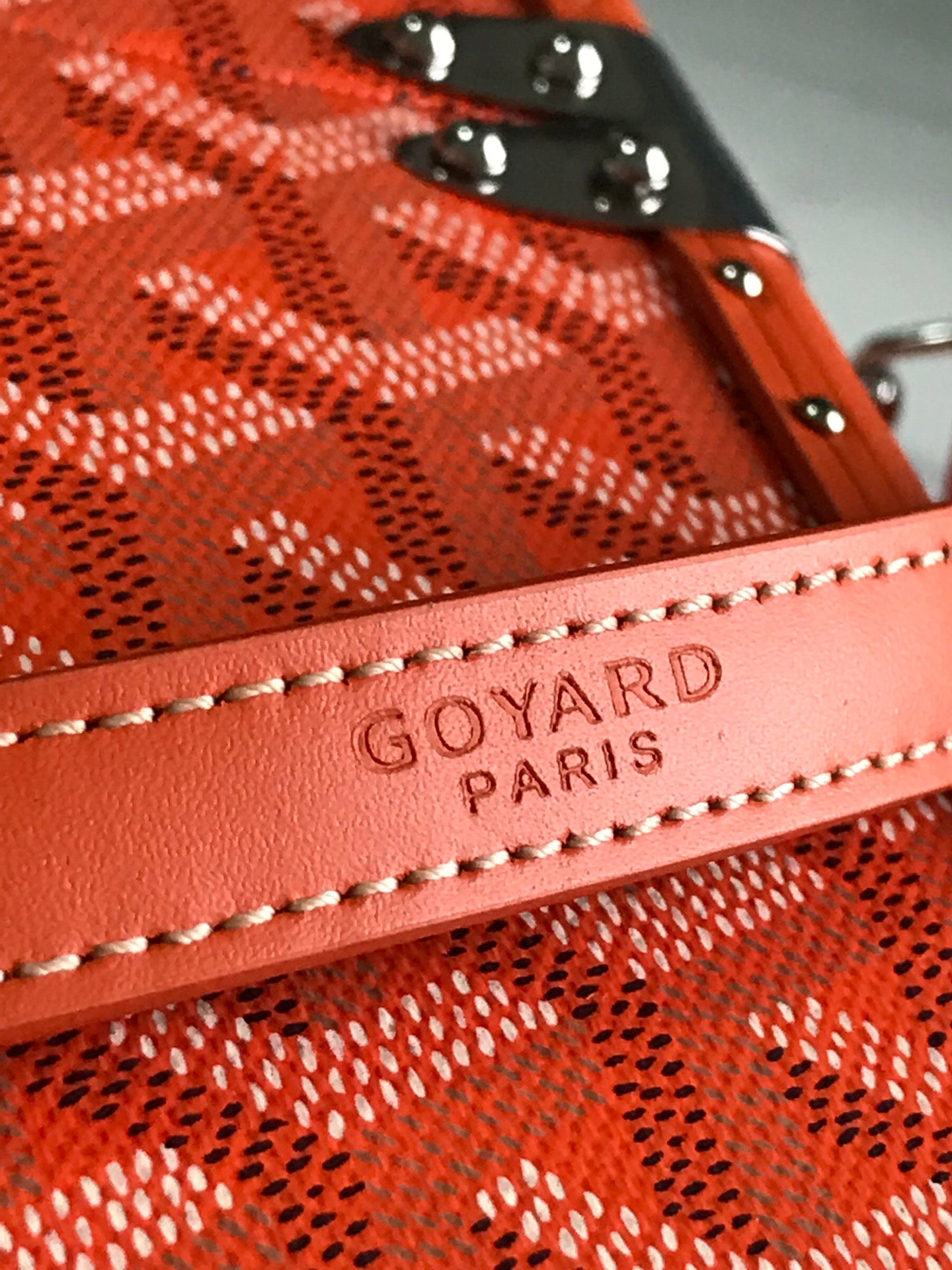 GOYARD Cassette Trunk Bag