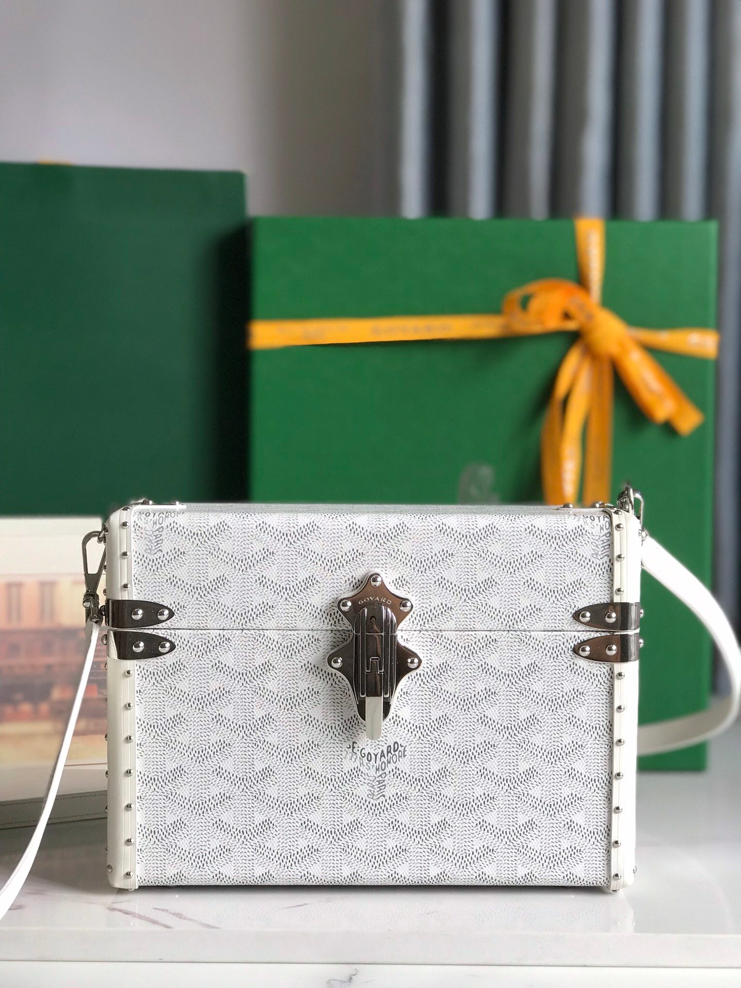 GOYARD Cassette Trunk Bag