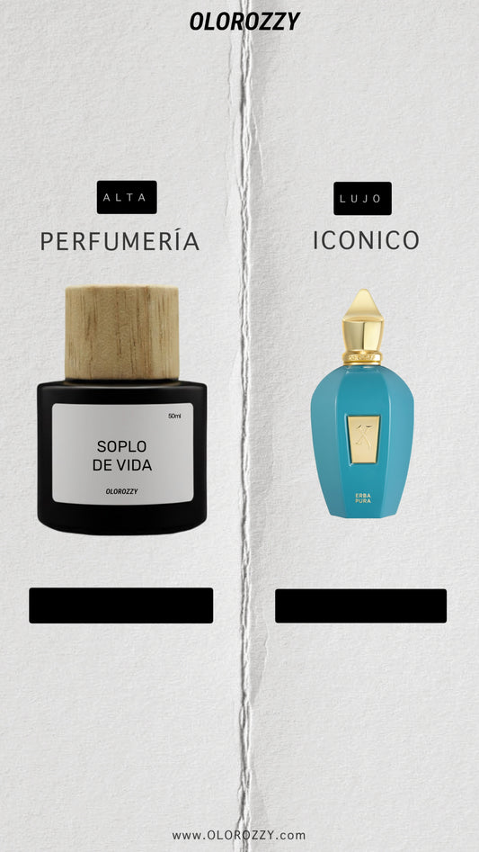 SOPLO DE VIDA Parfum - Inspirado en Erba Pura de Xerjoff